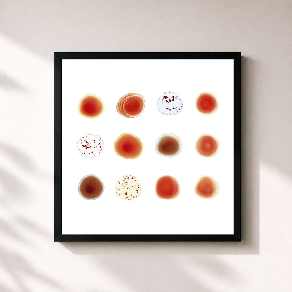 Peter Gabriel · Scratch My Back / And I’ll Scratch Yours