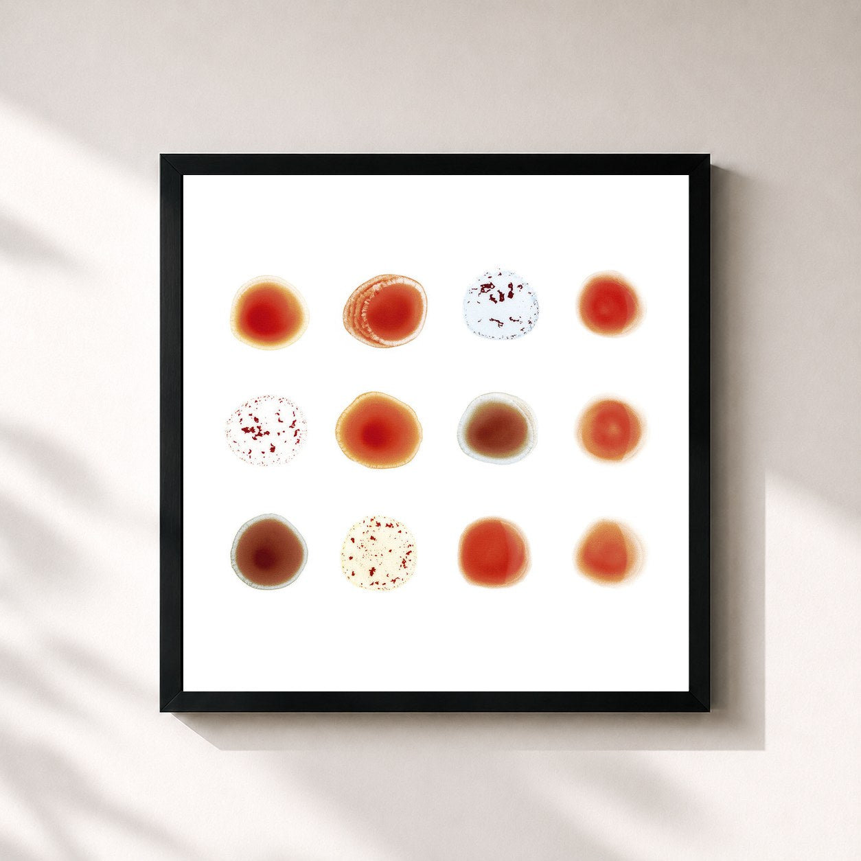Peter Gabriel · Scratch My Back / And I’ll Scratch Yours