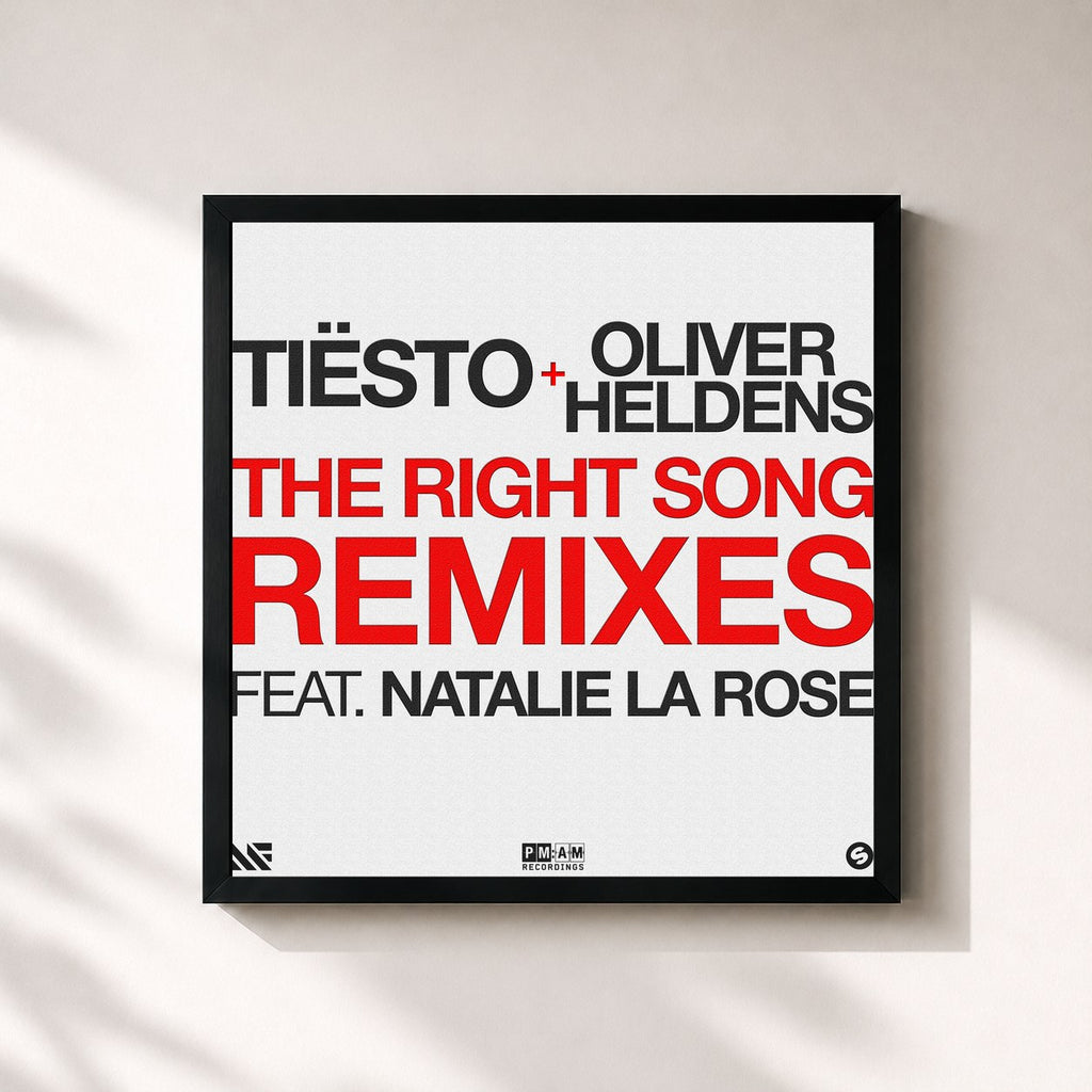 Tiësto · The Right Song (Remixes)