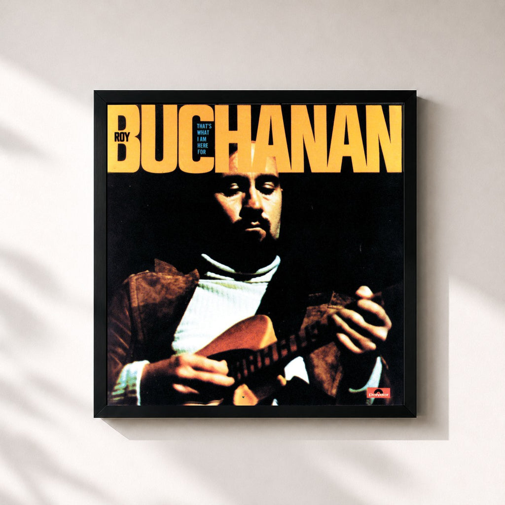 Roy Buchanan · That's What I Am Here For