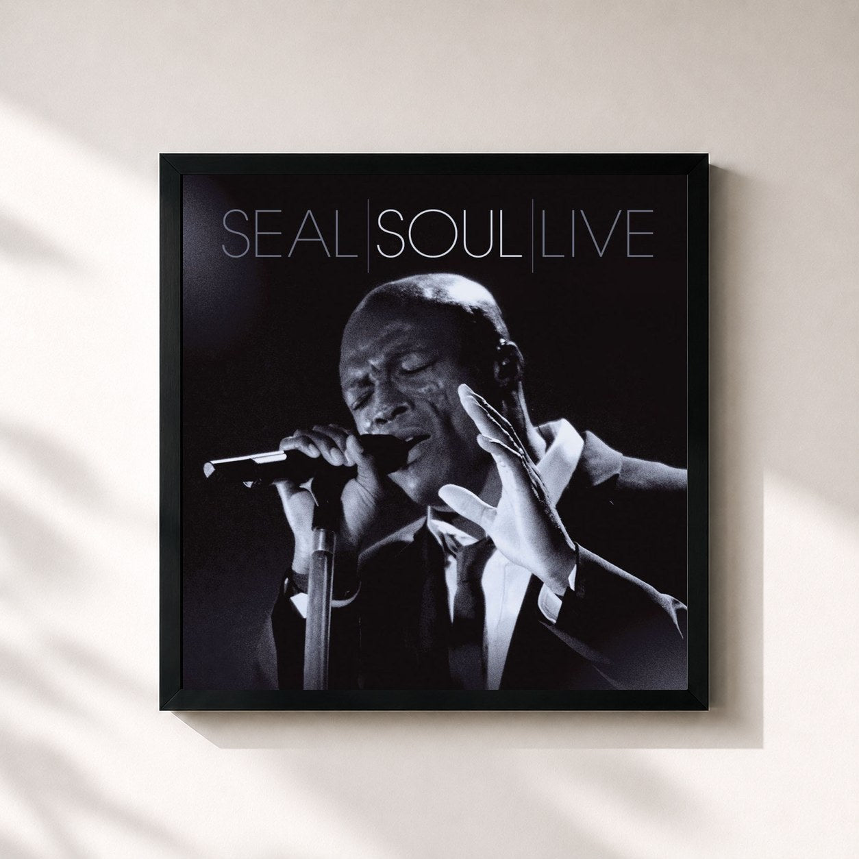 Seal · Soul Live