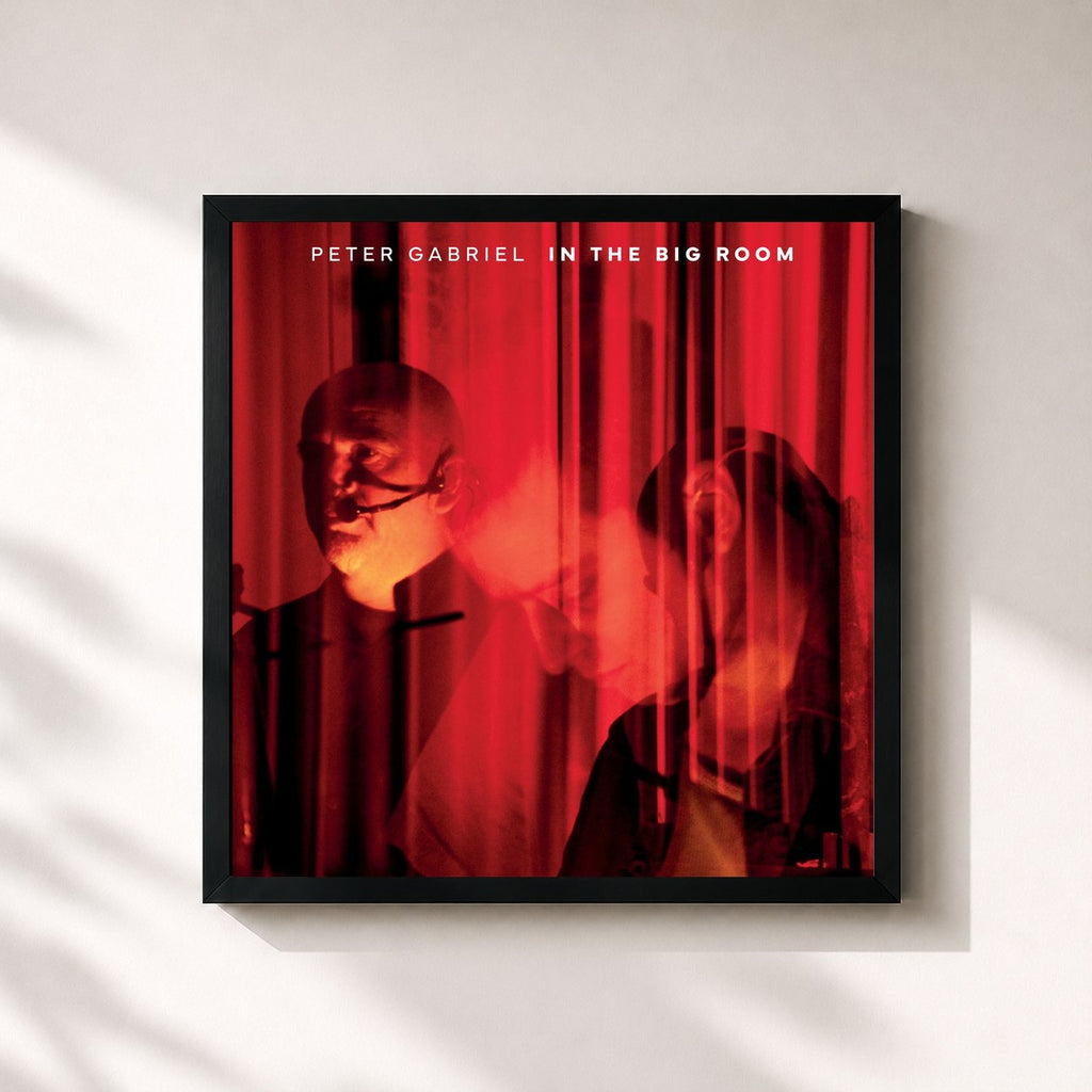 Peter Gabriel · In The Big Room