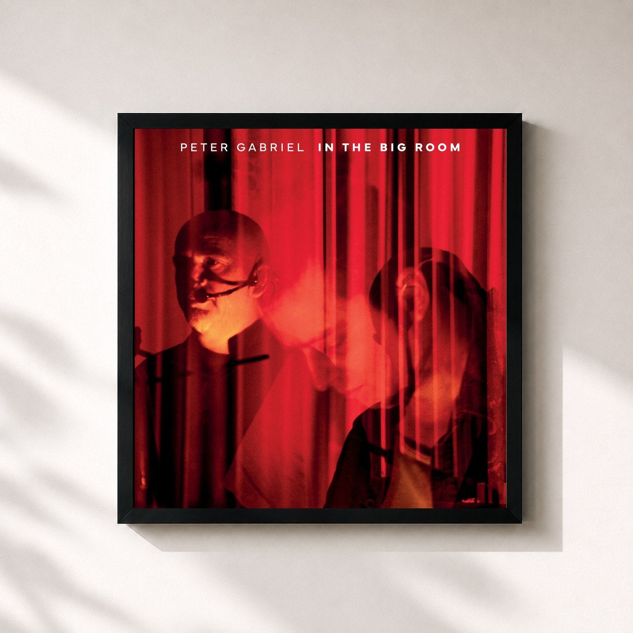 Peter Gabriel · In The Big Room