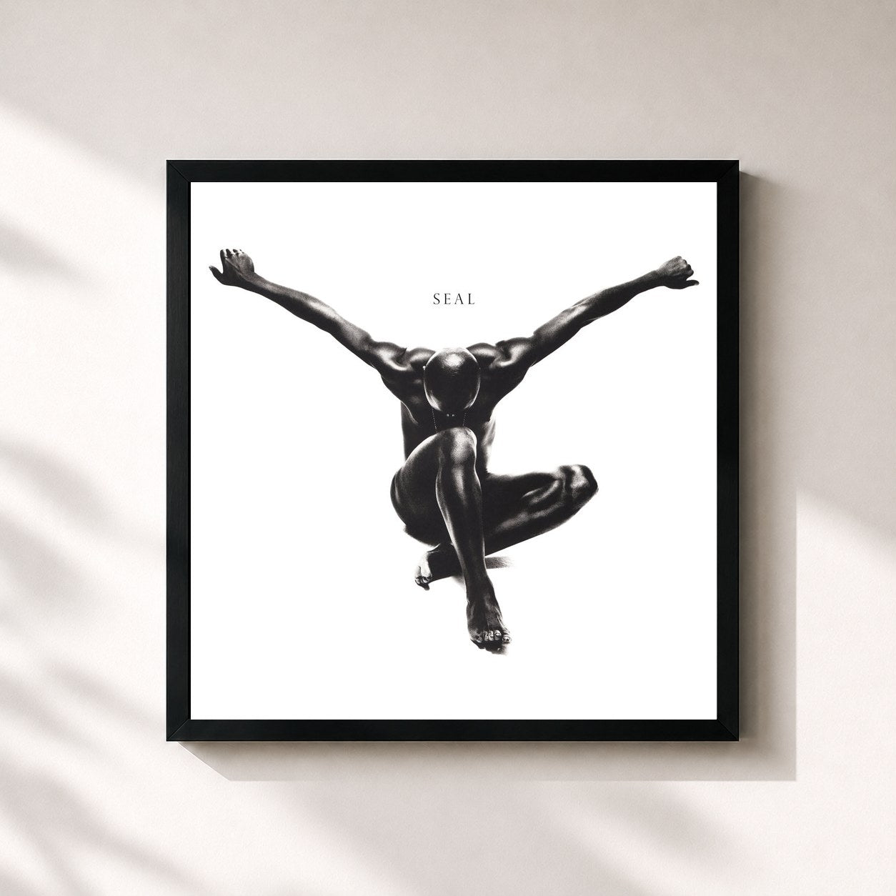 Seal · Seal (Deluxe Edition)