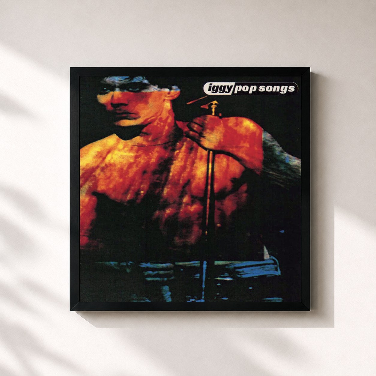 Iggy Pop · Pop Songs