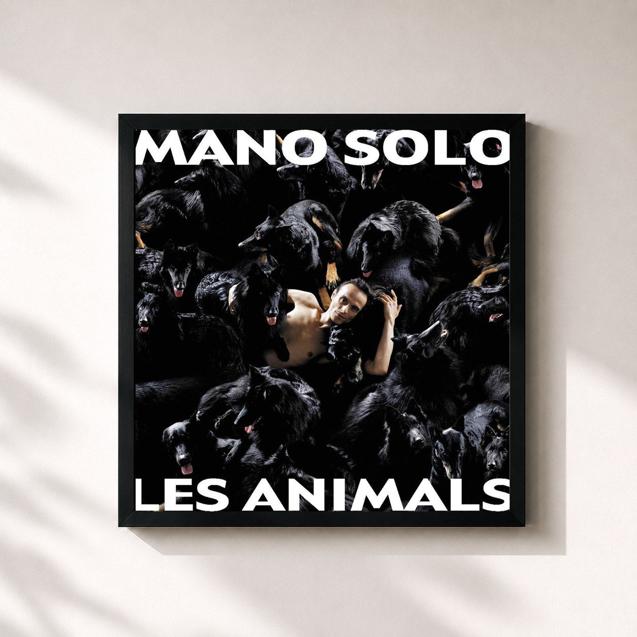 Mano Solo · Les Animals