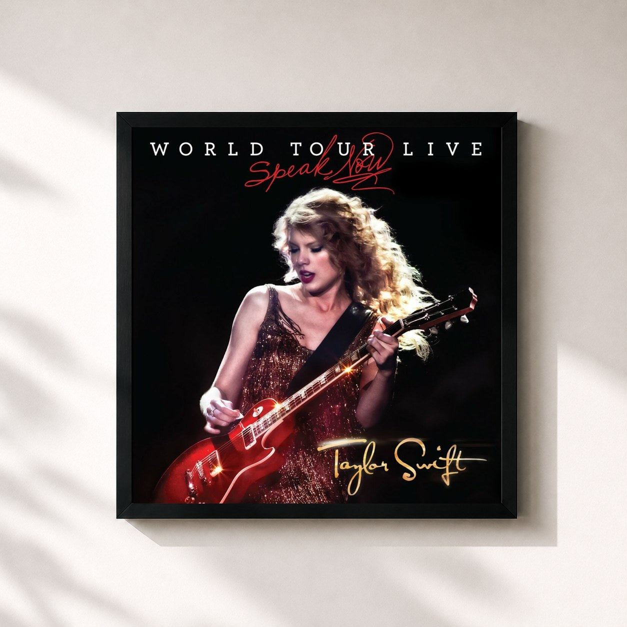 Taylor Swift – Speak Now World Tour Live