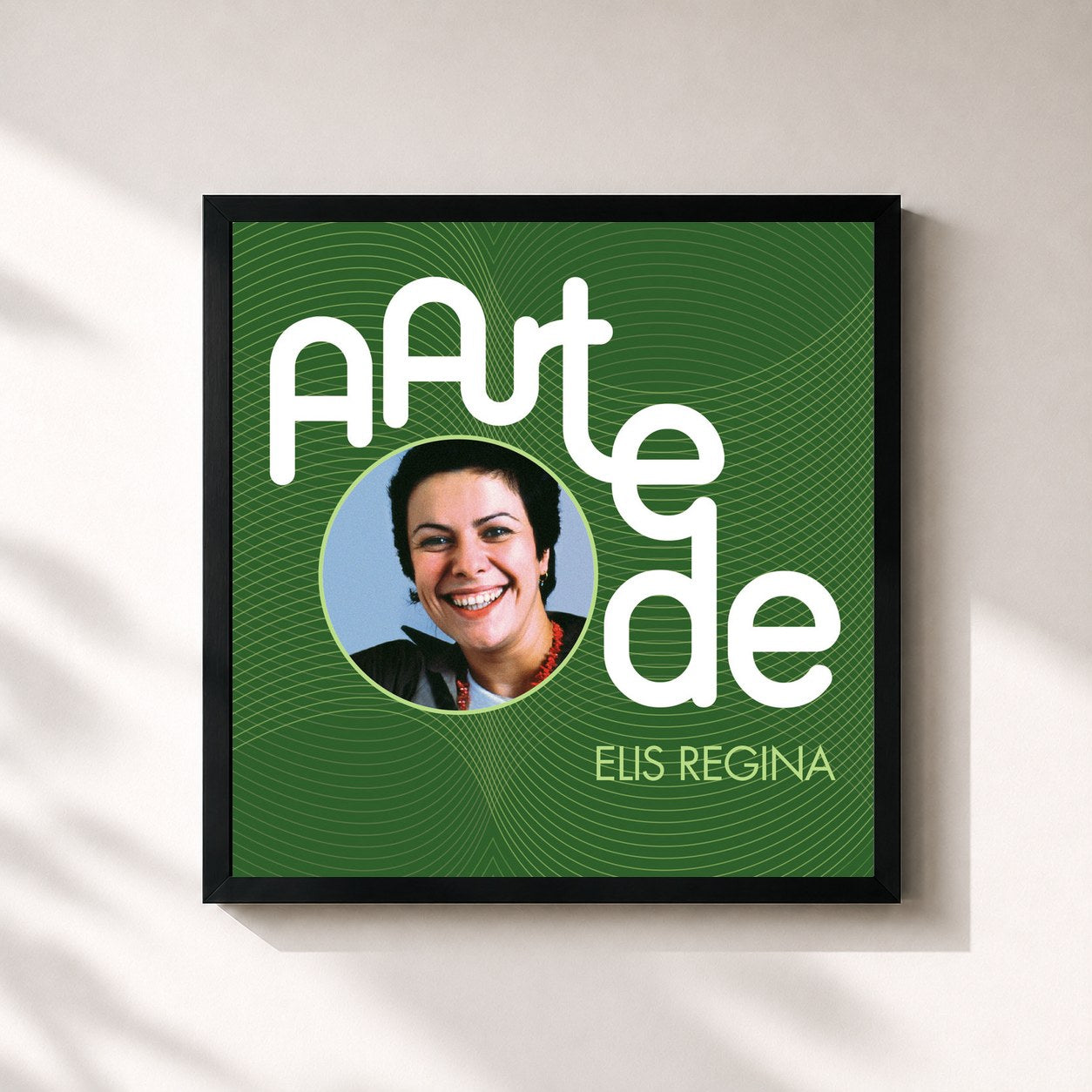 Elis Regina · A Arte De Elis Regina