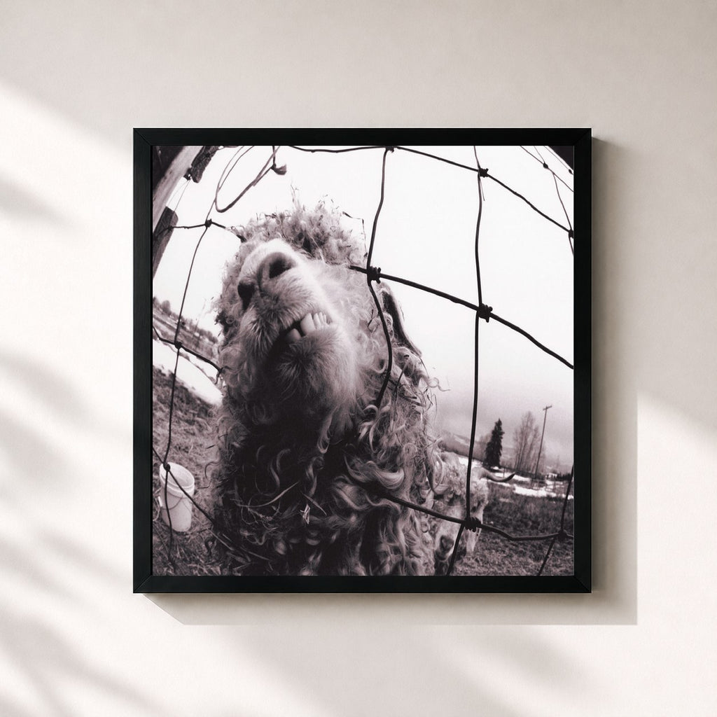 Pearl Jam · Vs.