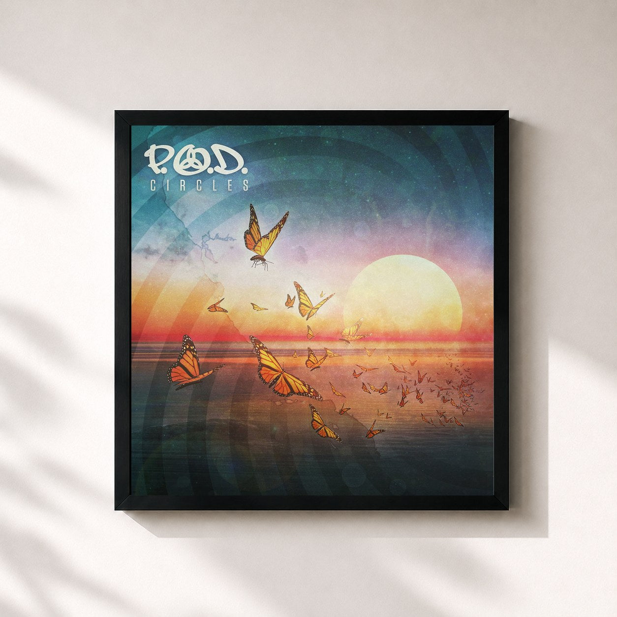 P.O.D · Circles