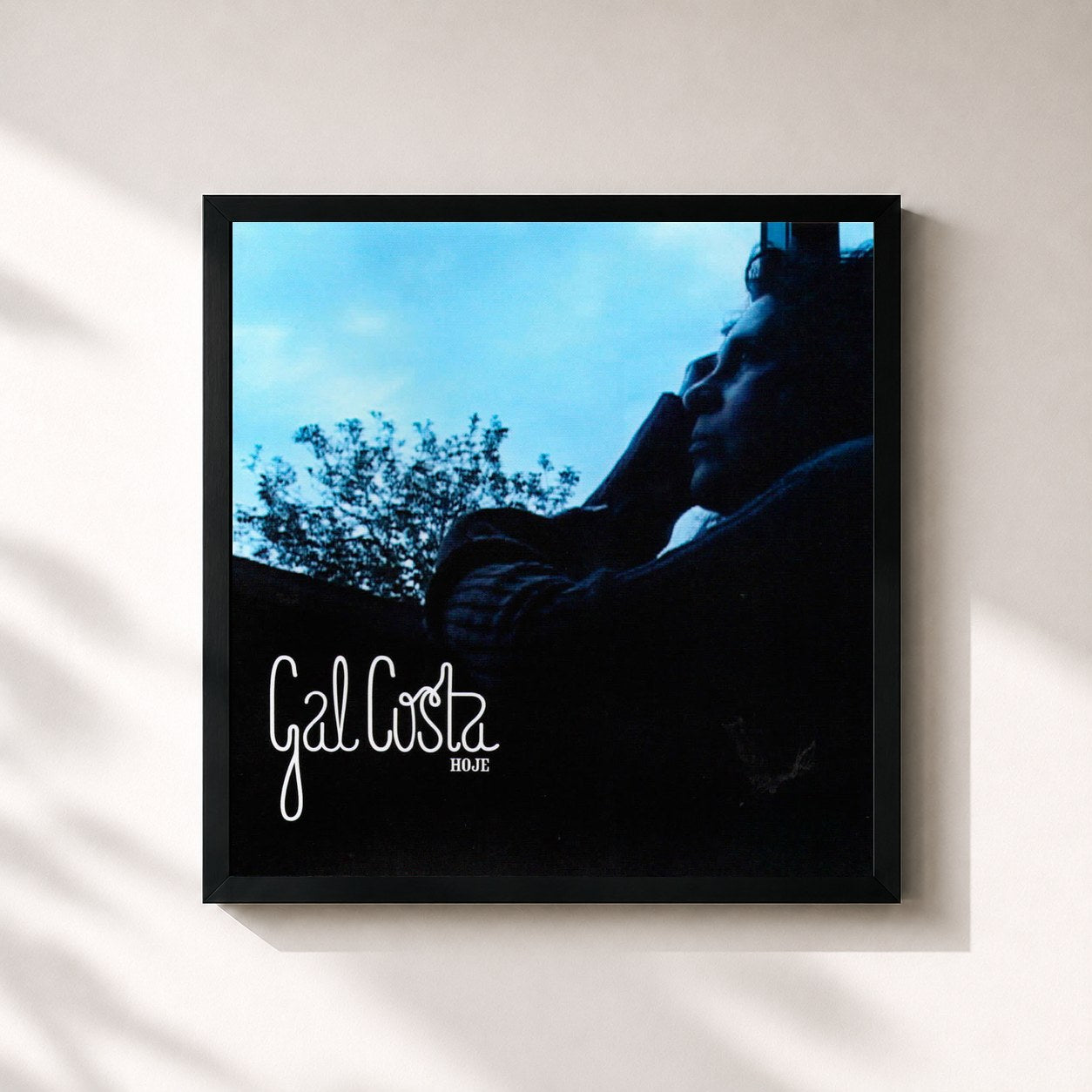 Gal Costa · Hoje
