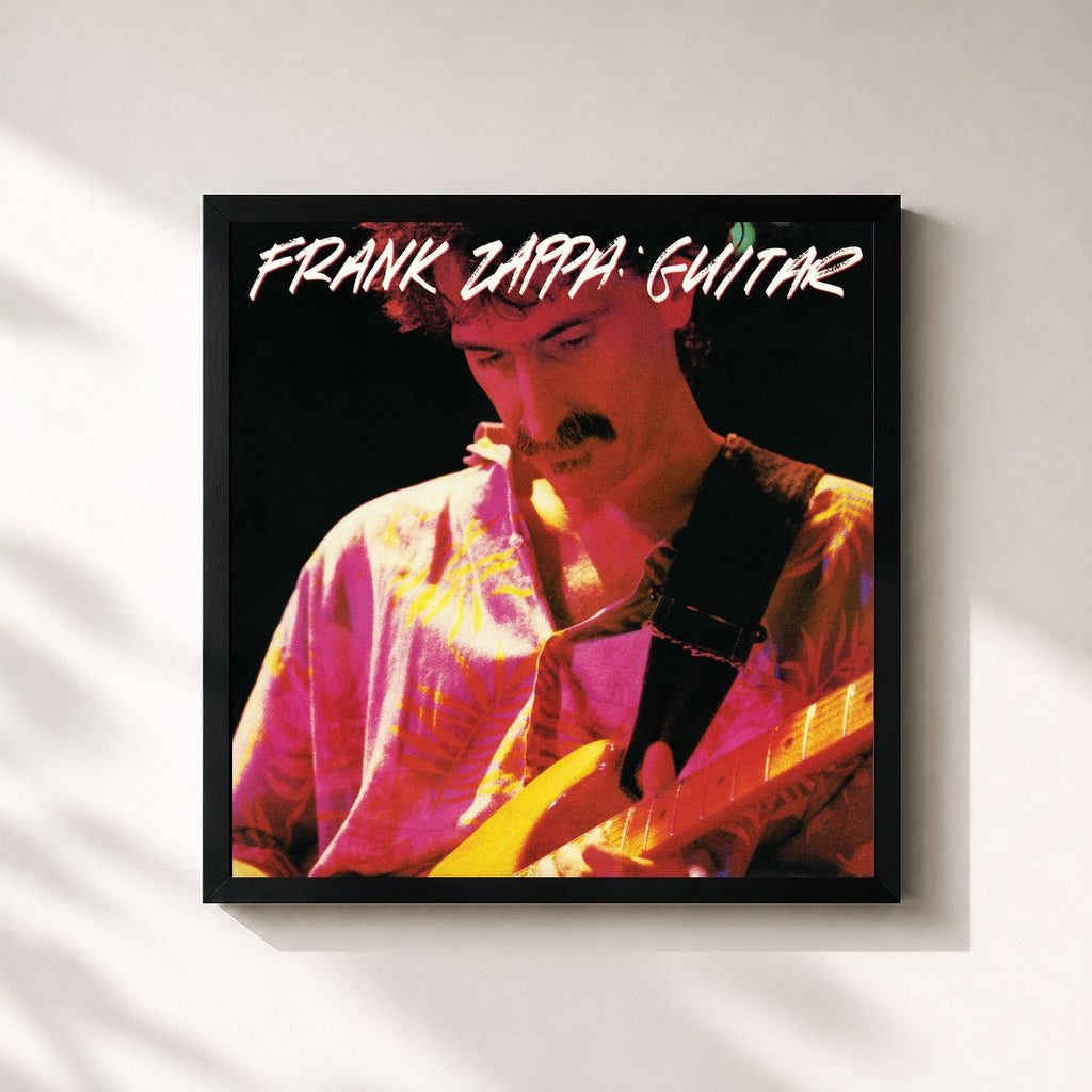 Frank Zappa – Guitar