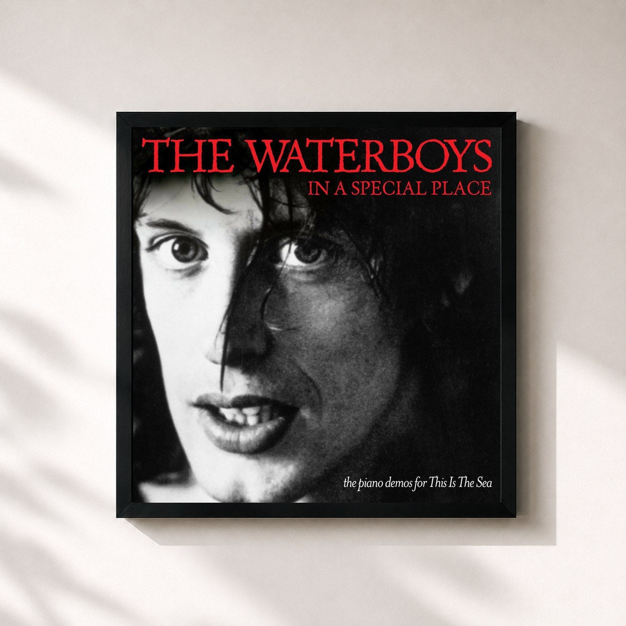 The Waterboys – In a Special Place: The Piano Demos for This Is the Sea