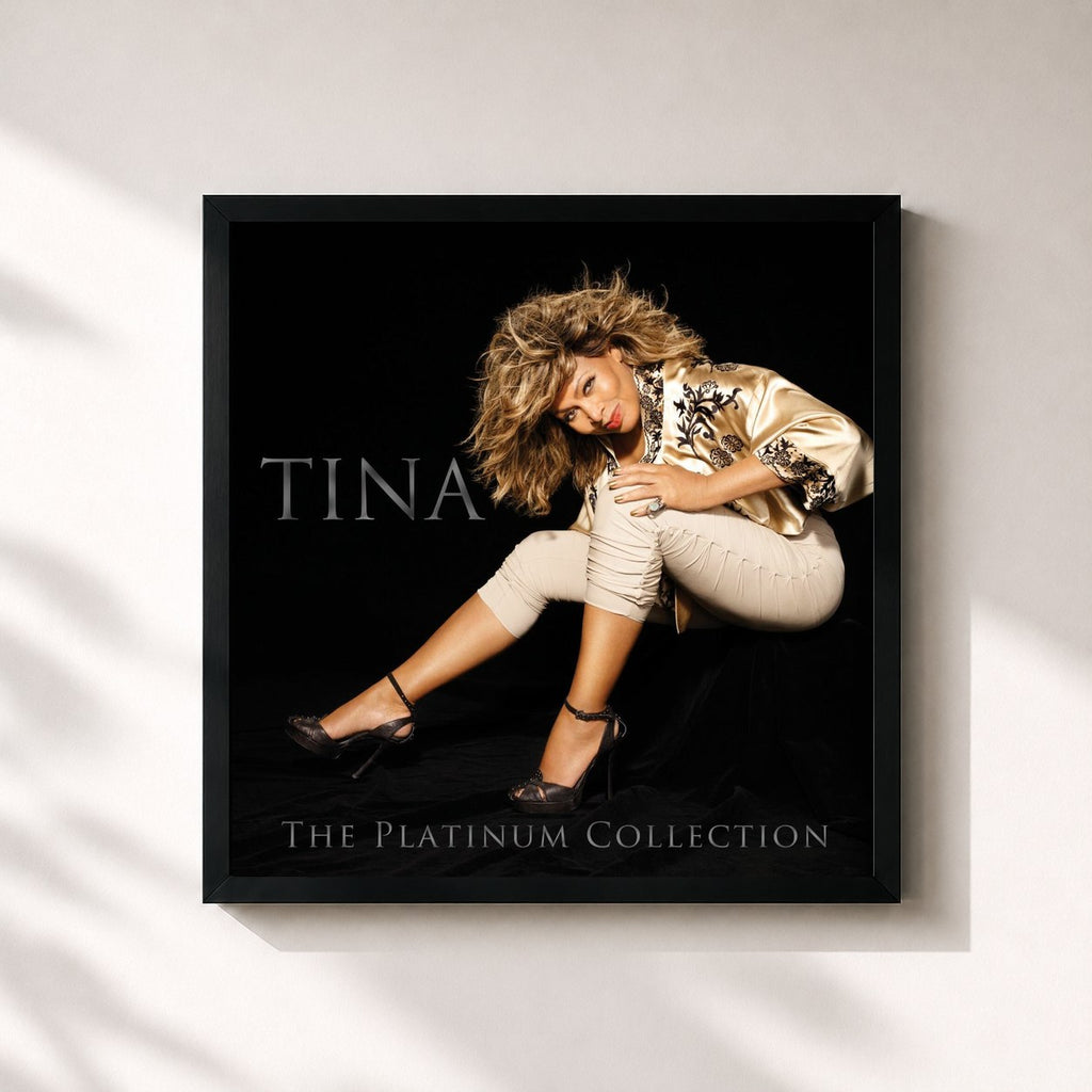 Tina Turner · The Platinum Collection