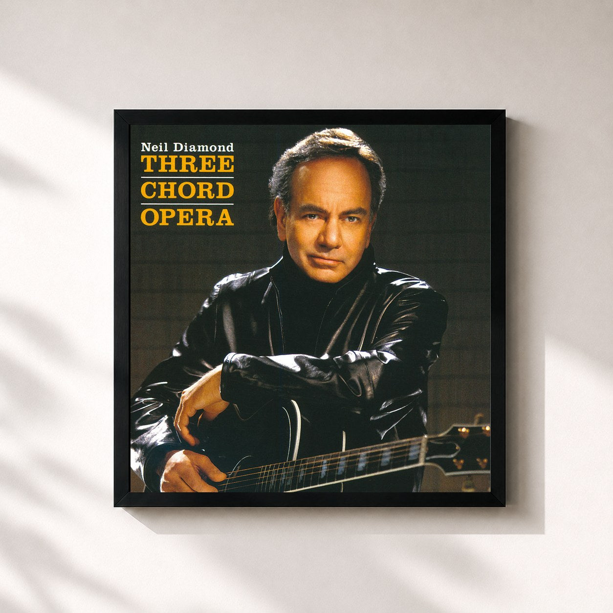Neil Diamond · Three Chord Opera
