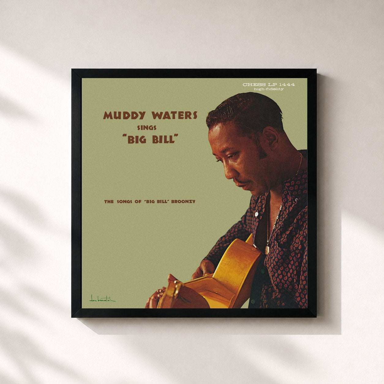 Muddy Waters · Muddy Waters Sings Big Bill Broonzy