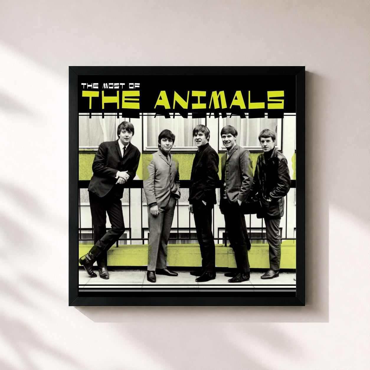 The Animals · Most of the Animals