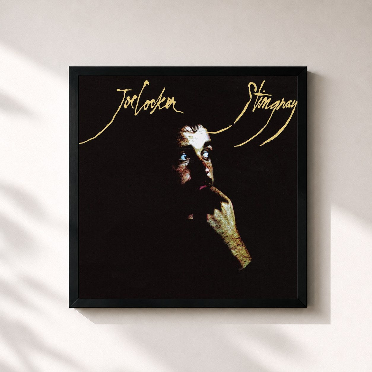 Joe Cocker · Stingray
