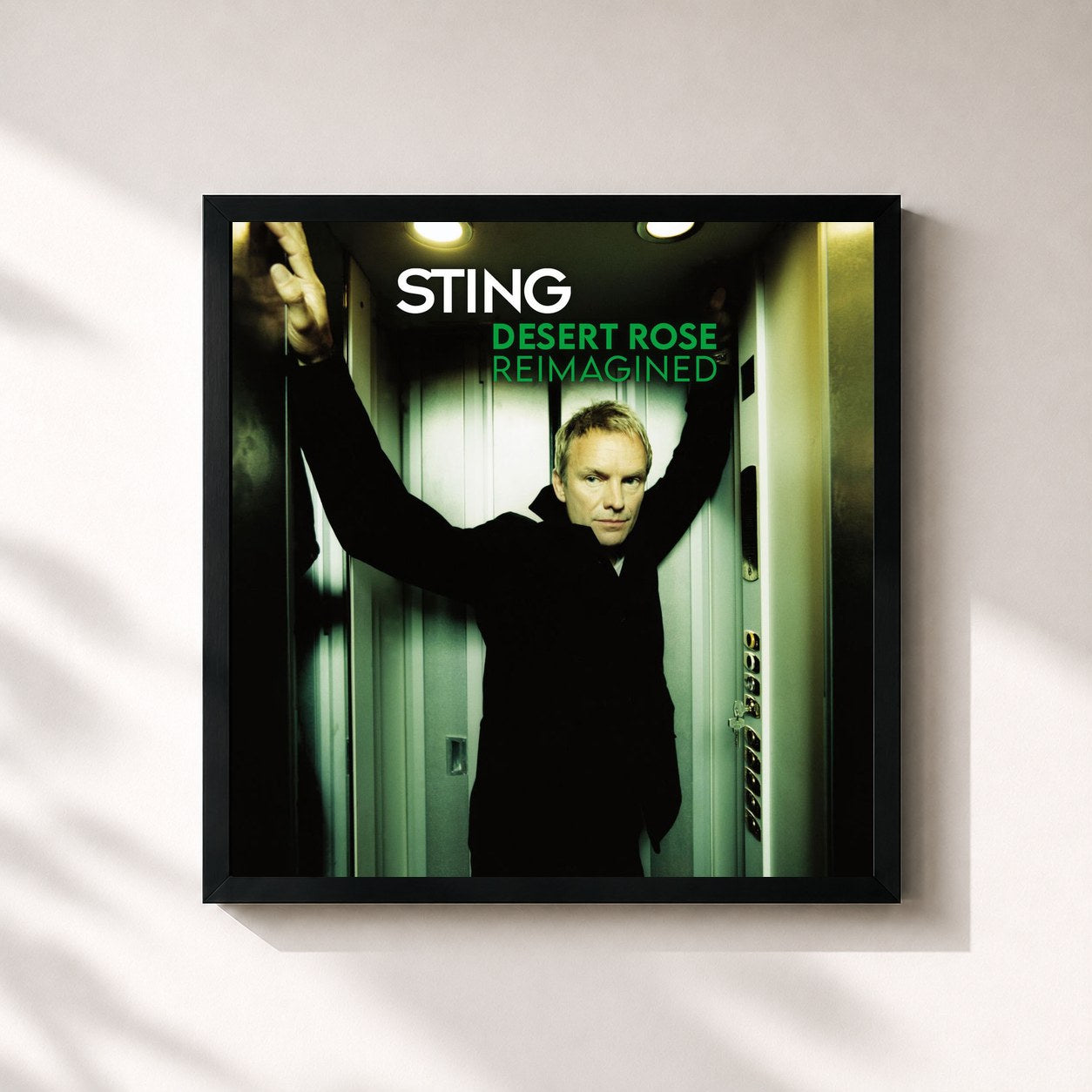 Sting – Desert Rose (Reimagined)