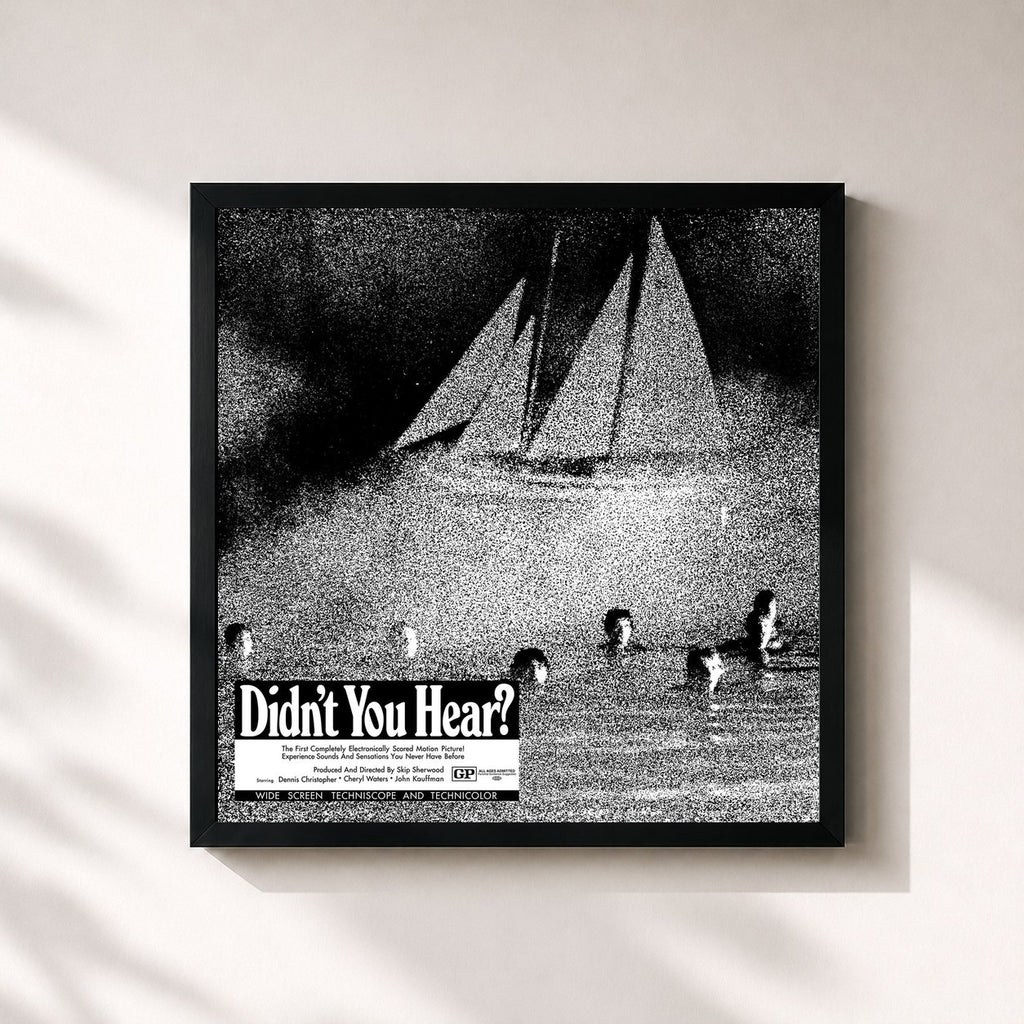 Mort Garson · Didn't You Hear?