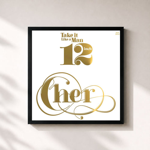 Cher · Take It Like a Man