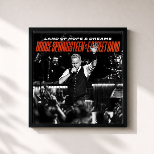 Bruce Springsteen · Land Of Hope & Dreams — Gerahmter Kunstdruck