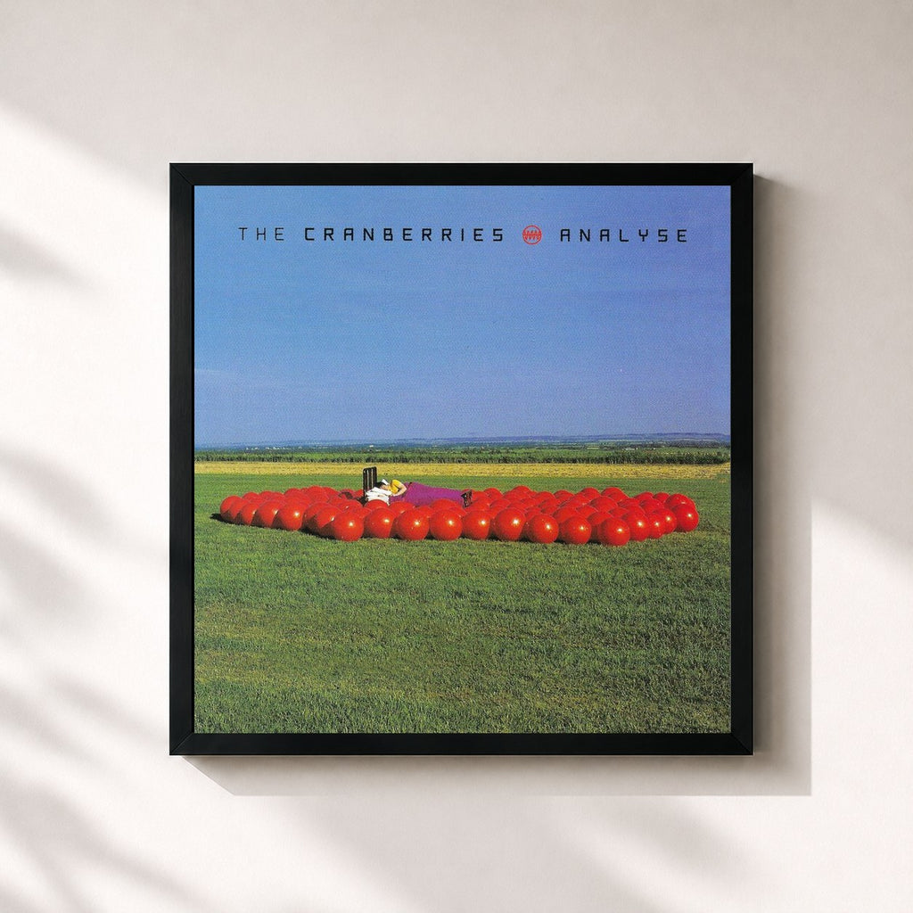 The Cranberries · Analyse