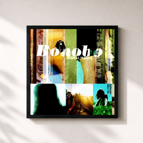 Bonobo · Animal Magic — Framed art print