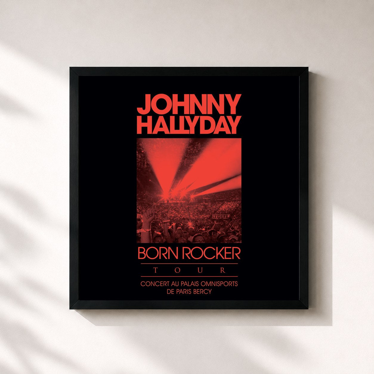 Johnny Hallyday · Born Rocker Tour (Concert au Palais Omnisports de Paris Bercy; Live)