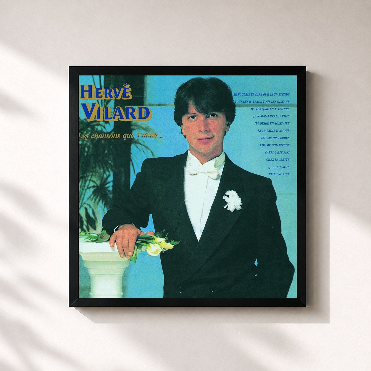 Hervé Vilard · Les Chansons Que J'Aime