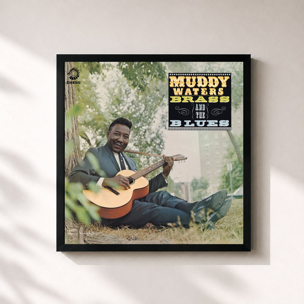 Muddy Waters · Muddy, Brass & The Blues