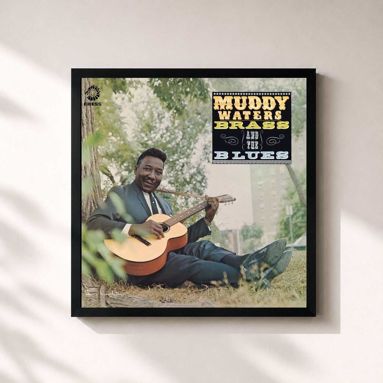 Muddy Waters · Muddy, Brass & The Blues