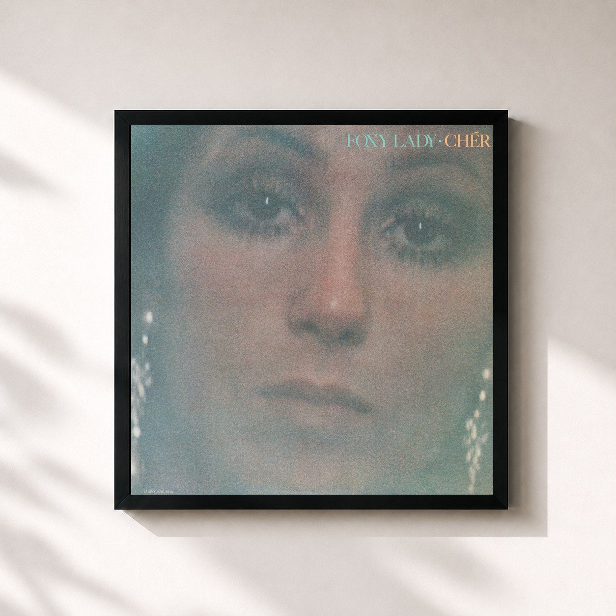 Cher · Foxy Lady