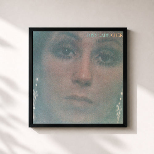 Cher · Foxy Lady