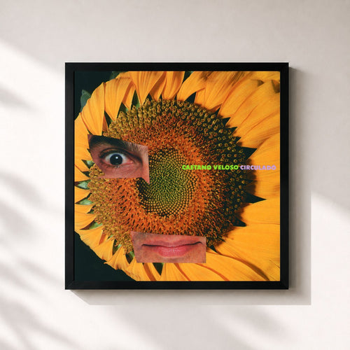 Caetano Veloso · Circulado — Affiche encadrée