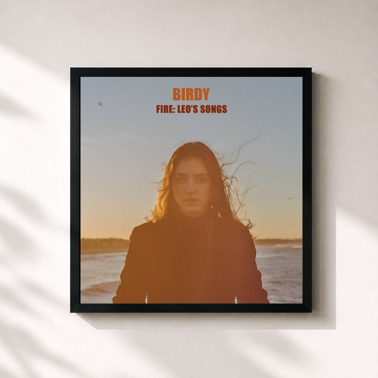 Birdy · Fire: Leo's Songs