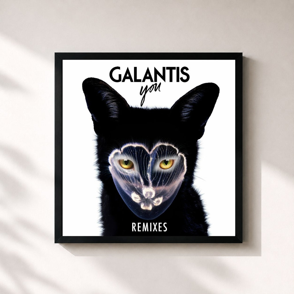 Galantis · You Remixes