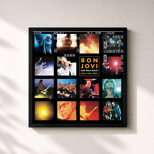 Bon Jovi · One Wild Night Live 1985-2001 — Stampa incorniciata