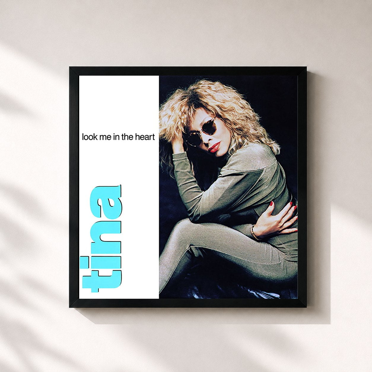 Tina Turner · Look Me in the Heart (The Singles)