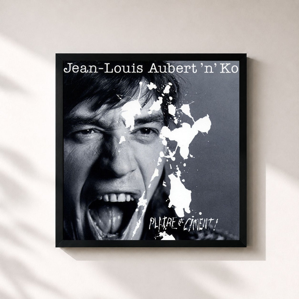 Jean-Louis Aubert · platre et ciment
