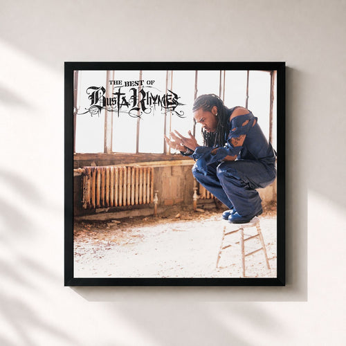 Busta Rhymes · The Best of Busta Rhymes — Affiche encadrée