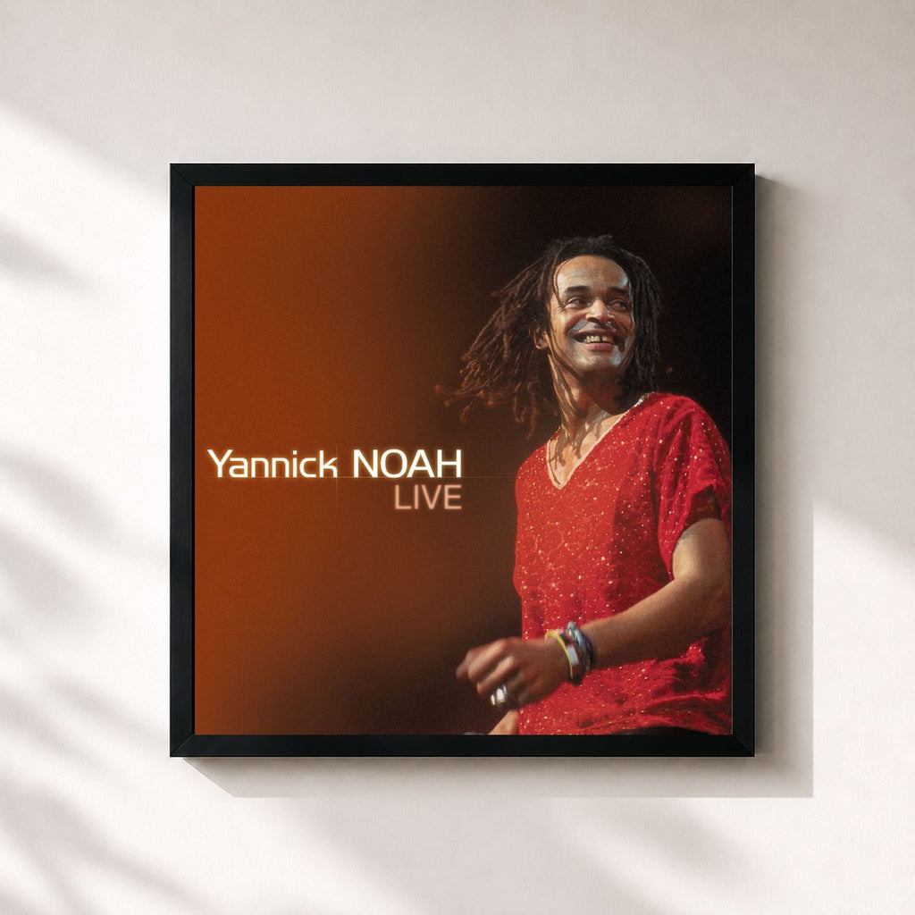 Yannick Noah · Album Live 2002