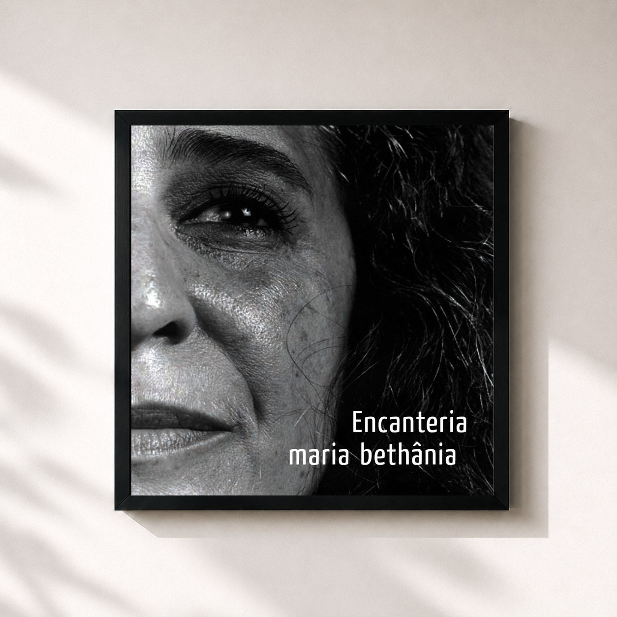 Maria Bethânia · Encanteria