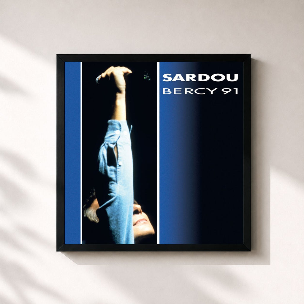 Michel Sardou · Bercy 91 - Concert intégral (Live à Bercy, Paris / 1991)