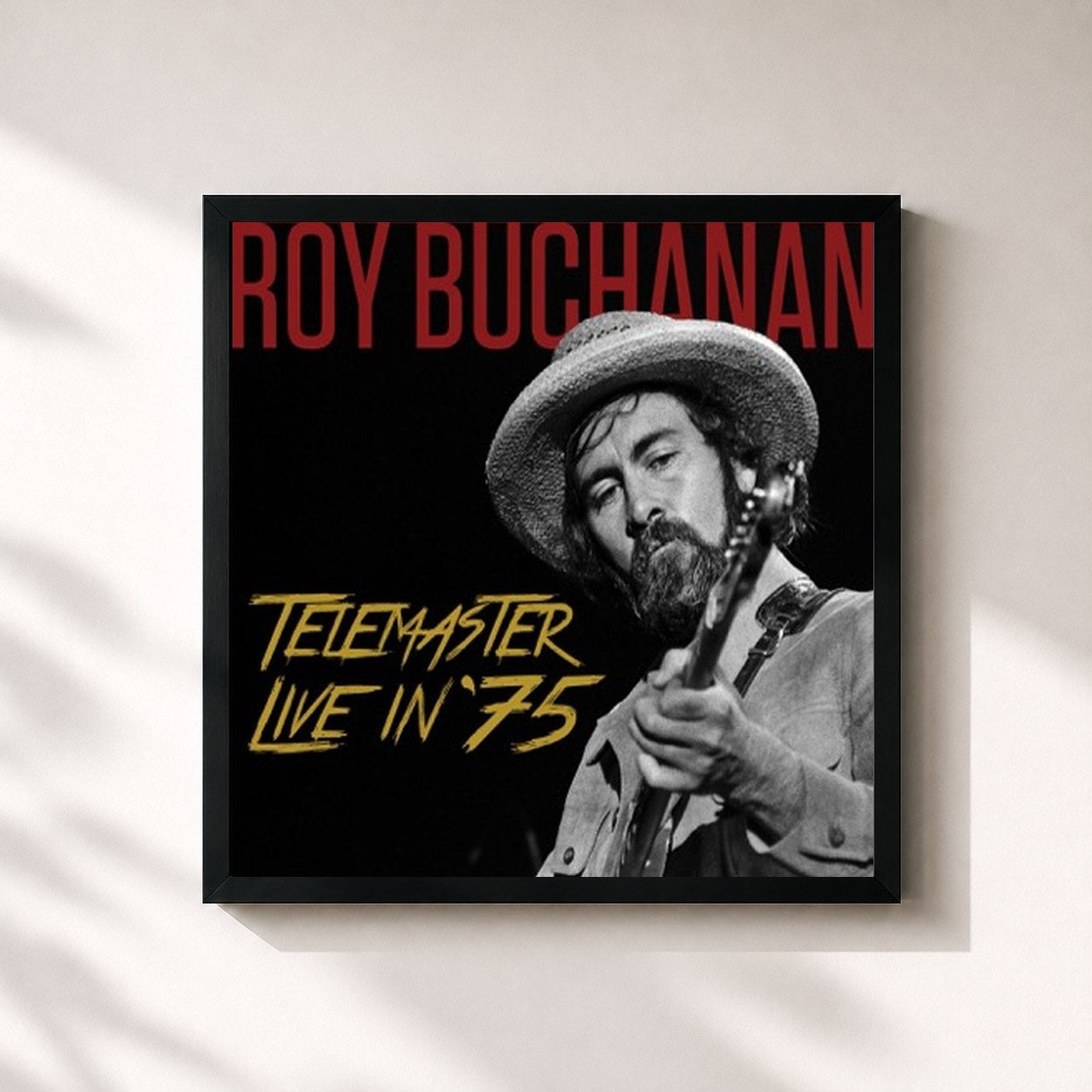 Roy Buchanan · Telemaster Live In '75