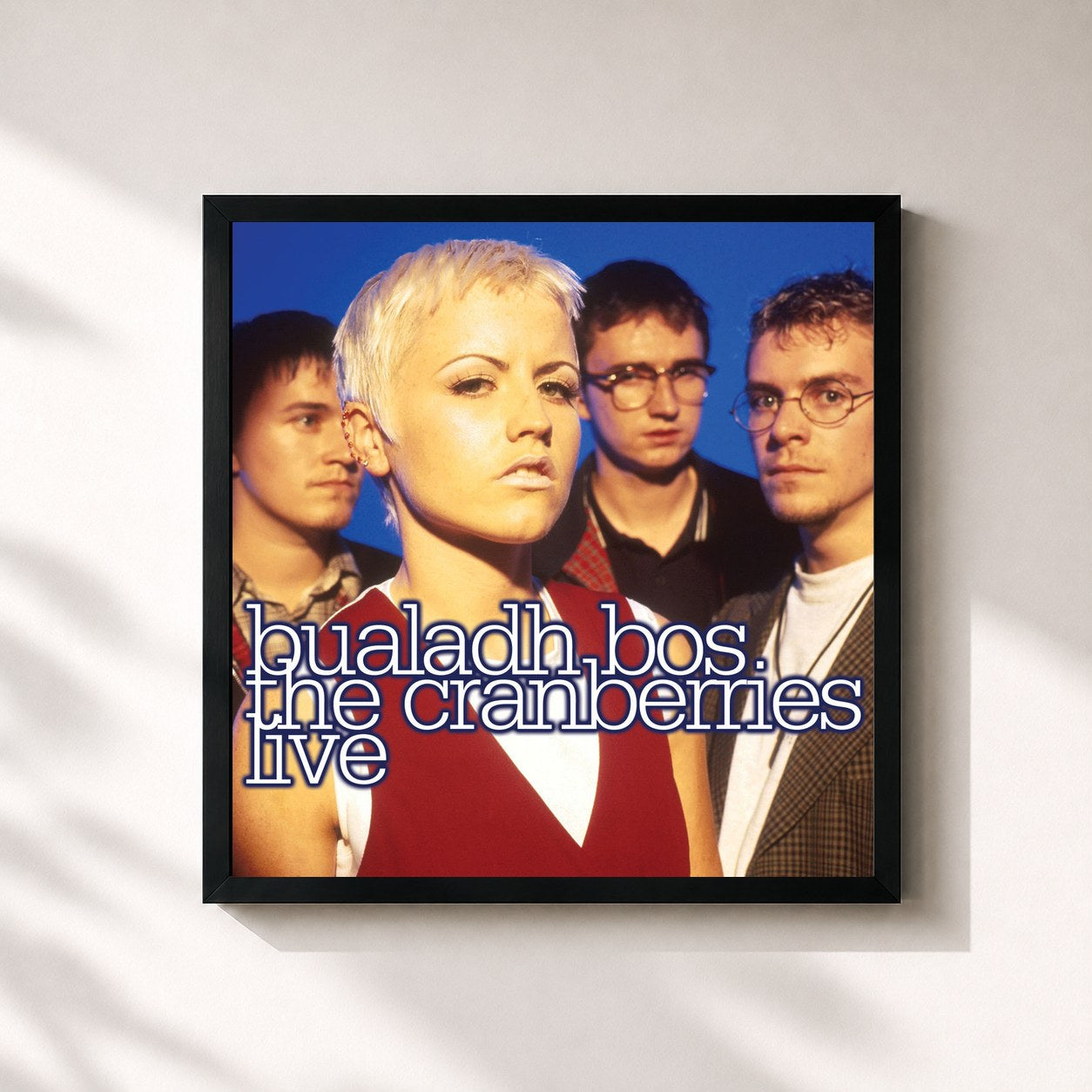 The Cranberries · Bualadh Bos: The Cranberries Live