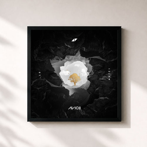 Avicii · AVĪCI (01) — Stampa incorniciata