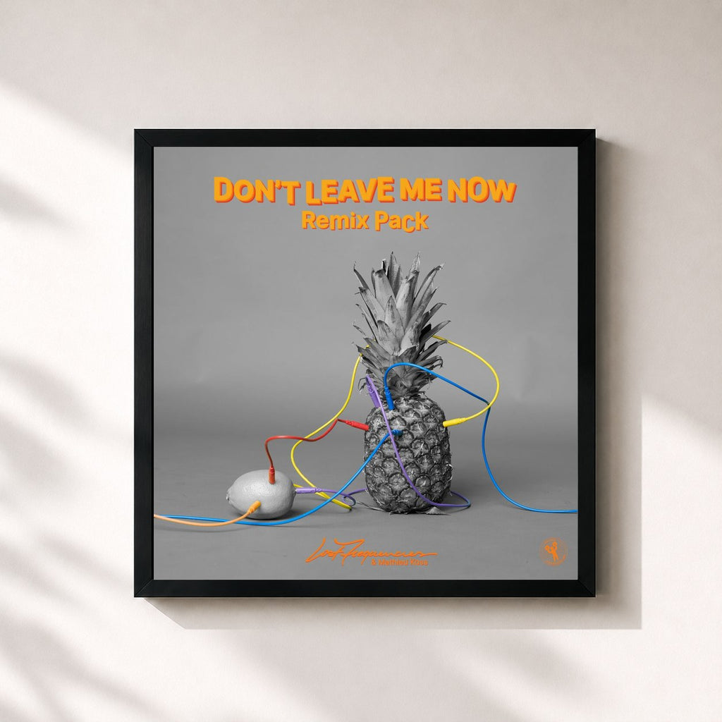 Lost Frequencies · Don't Leave Me Now (Remix Pack)