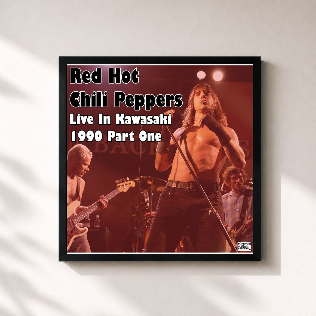 Red Hot Chili Peppers · Live In Kawasaki 1990 Part One (Live)