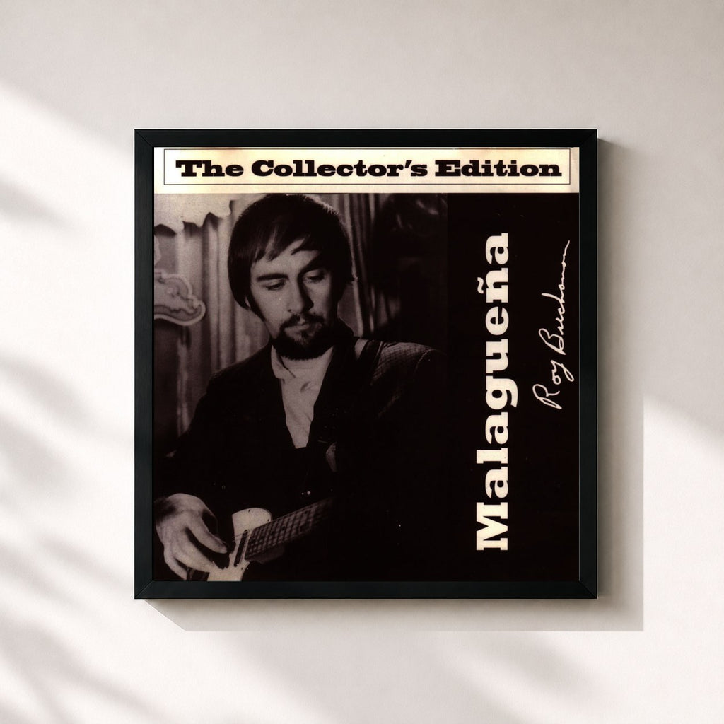 Roy Buchanan · Malagueña